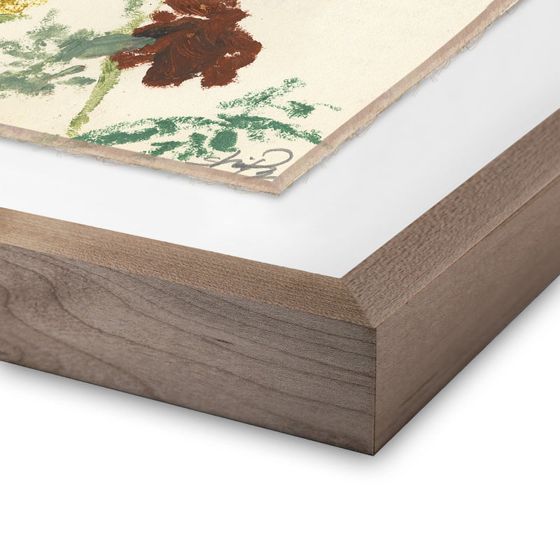 Meadow Rue 1 by Shaina Page — Rustic 2.5 Walnut