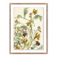 Meadow Rue 1 by Shaina Page — Rustic 2.5 Walnut