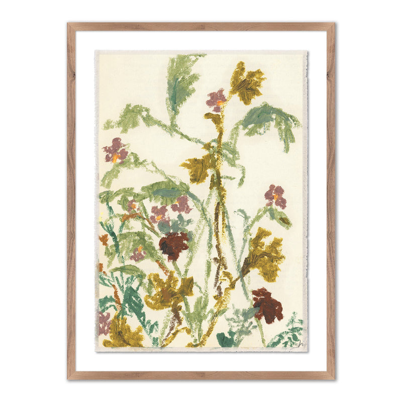 Meadow Rue 1 by Shaina Page — Rustic 2.5 Walnut
