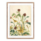 Meadow Rue 2 by Shaina Page — Rustic 1.5 Walnut
