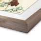 Meadow Rue 1 by Shaina Page — Rustic 2.5 Walnut