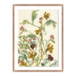 Meadow Rue 1 by Shaina Page — Rustic 2.5 Walnut