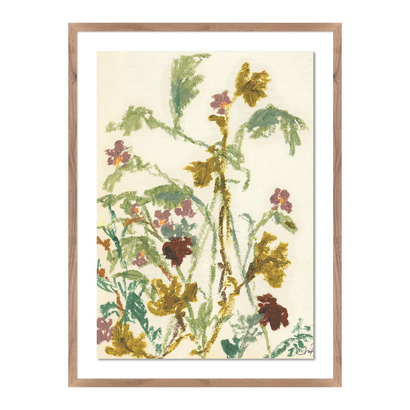 Meadow Rue 1 by Shaina Page — Rustic 2.5 Walnut
