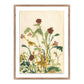Meadow Rue 2 by Shaina Page — Rustic 1.5 Walnut
