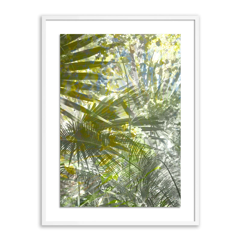 Golden Years by Fountain Grass Studios — White 2.5 Maple