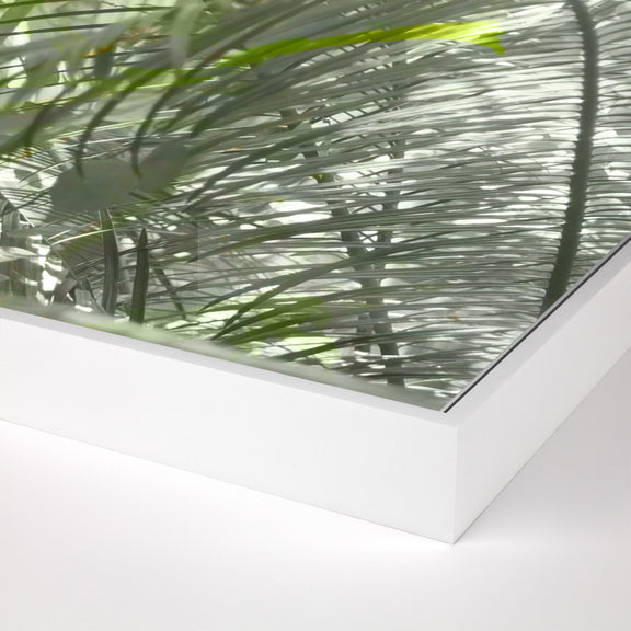 Golden Years by Fountain Grass Studios — White Maple Floater