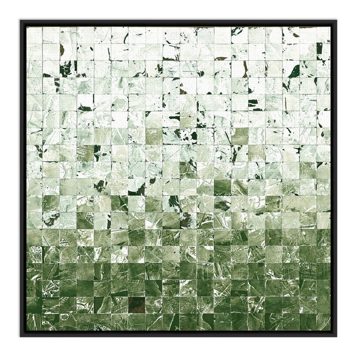 Merida Verde by Douglas Galloway - Black Maple