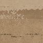 The Meadow by Coup d'Esprit - White Oak