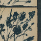 Summer Weeds II by Shaina Page - White Oak