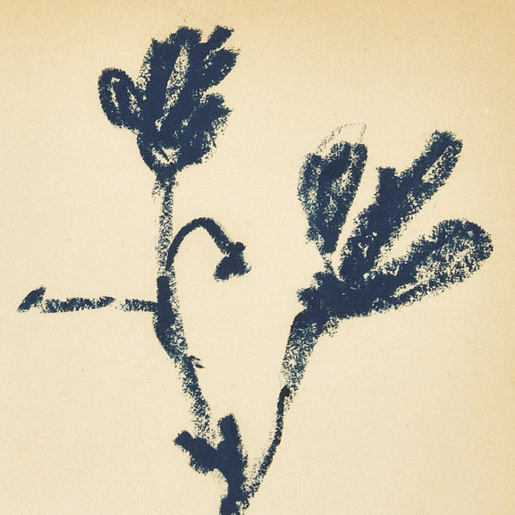 Summer Weed by Shaina Page - White Oak