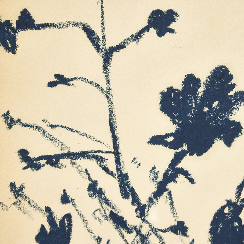 Summer Weed by Shaina Page - White Oak