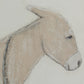 Burro Dia by Paul Meyer - Maple Box