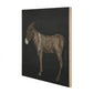 Burro Noche by Paul Meyer - Maple Box