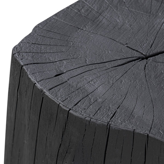 Amiko End Table - Black Resin