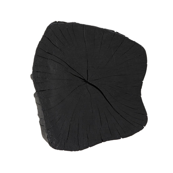 Amiko End Table - Black Resin