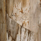 Aida End Table - Light Petrified Wood