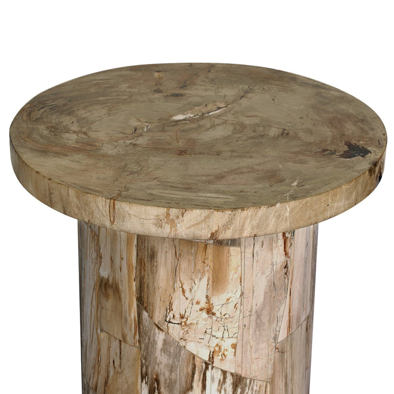 Aida End Table - Light Petrified Wood