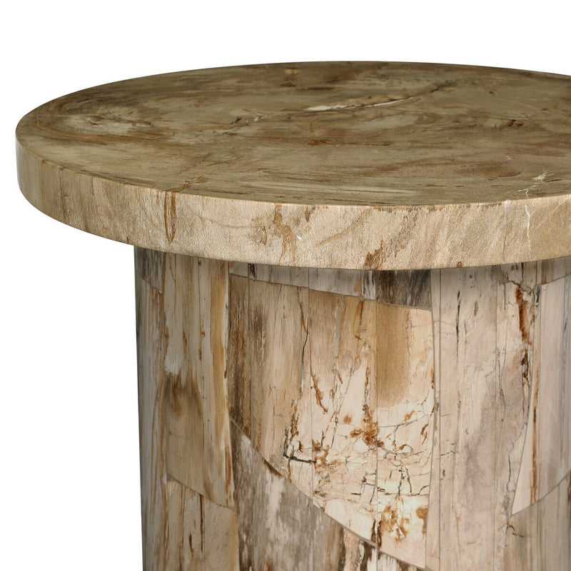Aida End Table - Light Petrified Wood