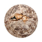 Aida End Table - Light Petrified Wood