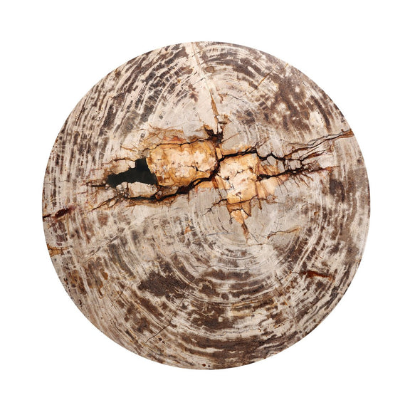 Aida End Table - Light Petrified Wood