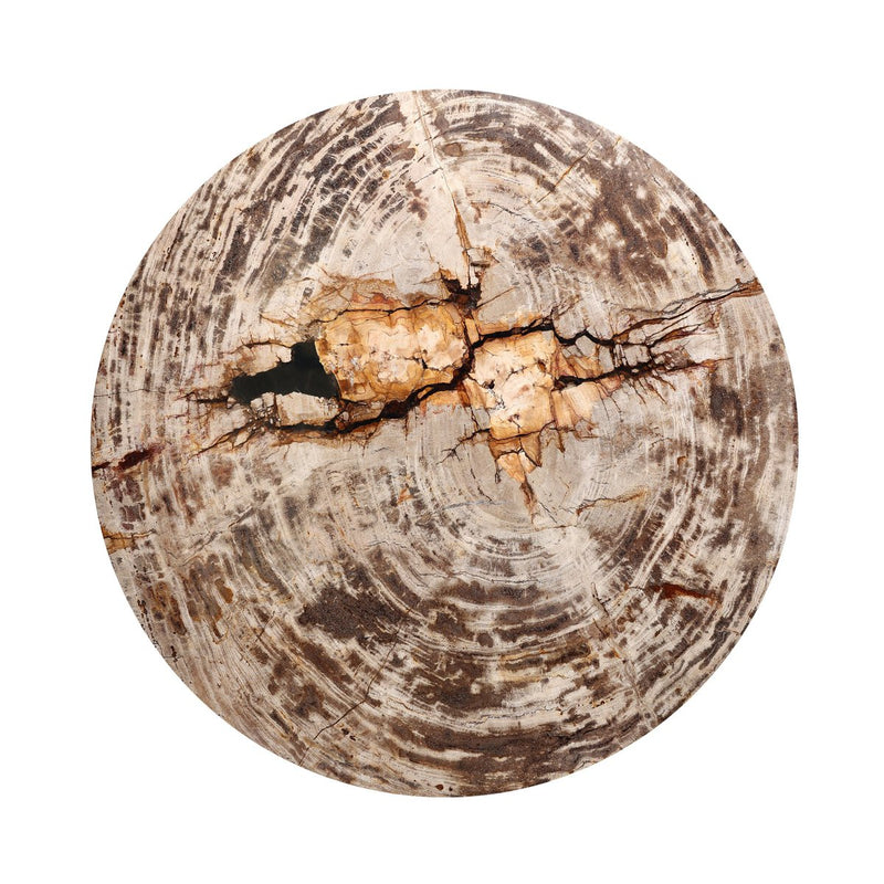 Aida End Table - Light Petrified Wood