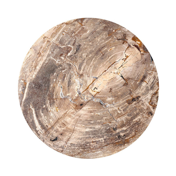 Aida End Table - Light Petrified Wood