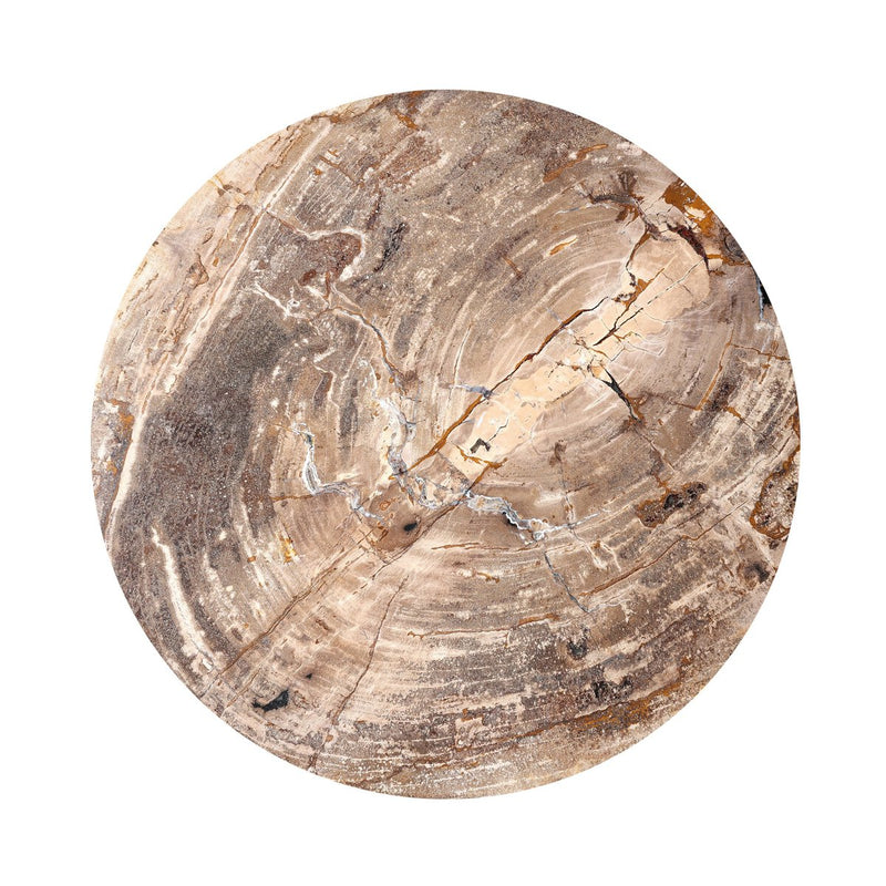 Aida End Table - Light Petrified Wood