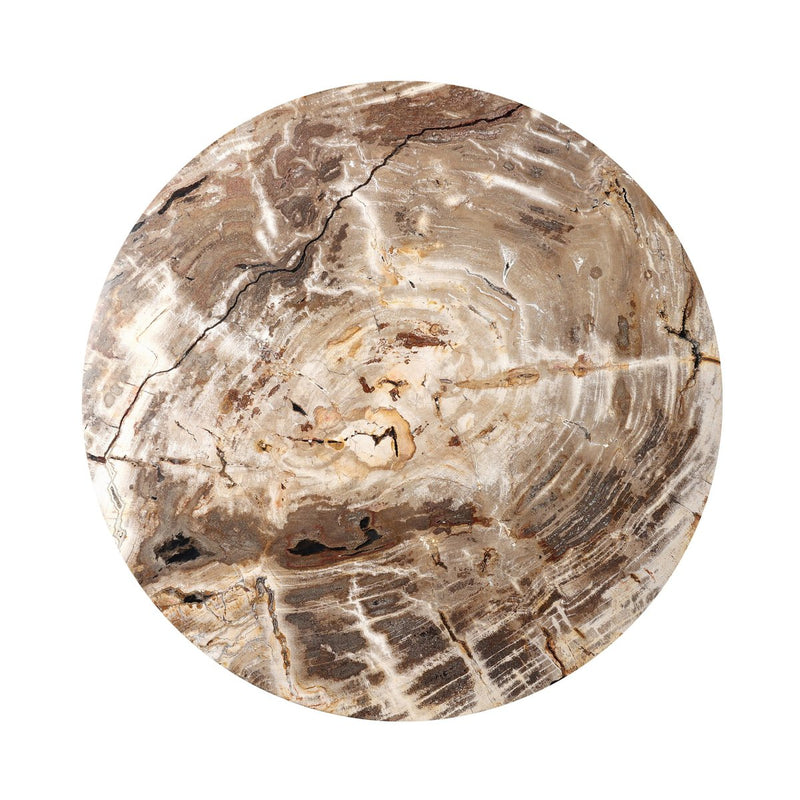Aida End Table - Light Petrified Wood