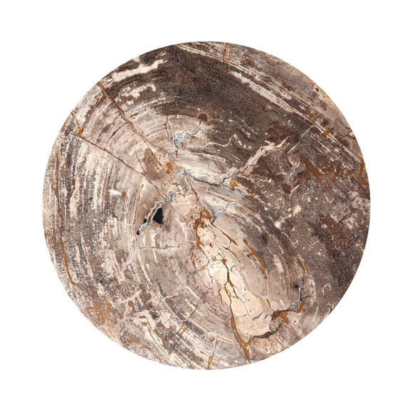 Aida End Table - Light Petrified Wood