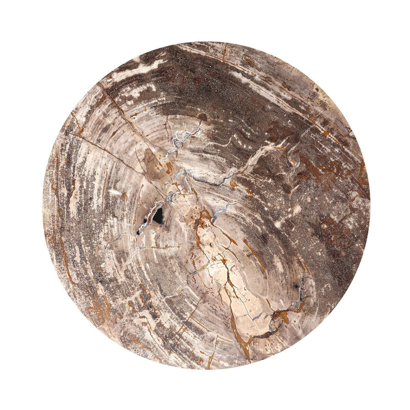 Aida End Table - Light Petrified Wood