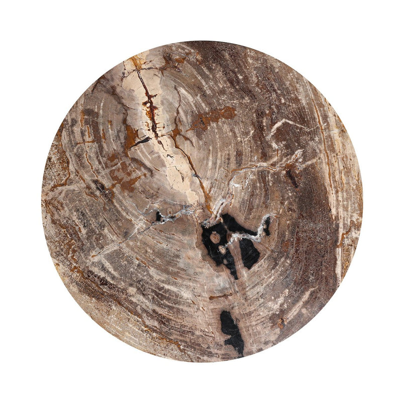 Aida End Table - Light Petrified Wood