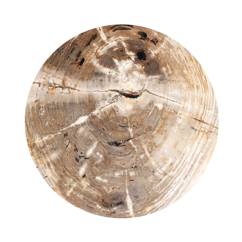 Aida End Table - Light Petrified Wood