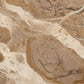 Sylas End Table - Fossil Marble