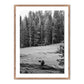 Don't Feed The Bears by Wesley and Emma Teague	 — Rustic 2.5 Walnut