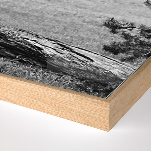 Don't Feed The Bears by Wesley and Emma Teague	 — Vertical Grain White Oak Floater
