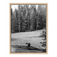 Don't Feed The Bears by Wesley and Emma Teague	 — Vertical Grain White Oak Floater