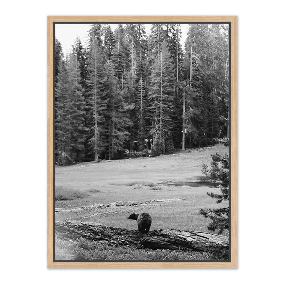 Don't Feed The Bears by Wesley and Emma Teague	 — Vertical Grain White Oak Floater