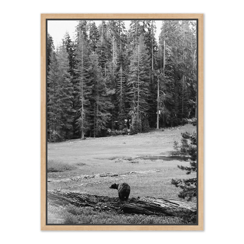 Don't Feed The Bears by Wesley and Emma Teague	 — Vertical Grain White Oak Floater