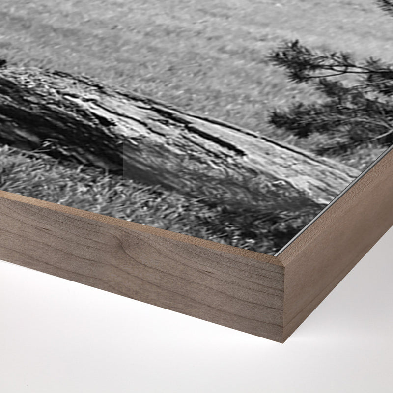 Don't Feed The Bears by Wesley and Emma Teague	 — Rustic Walnut Floater