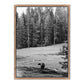 Don't Feed The Bears by Wesley and Emma Teague	 — Rustic Walnut Floater