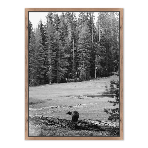 Don't Feed The Bears by Wesley and Emma Teague	 — Rustic Walnut Floater