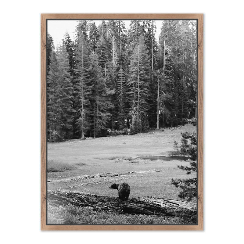 Don't Feed The Bears by Wesley and Emma Teague	 — Rustic Walnut Floater