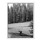 Don't Feed The Bears by Wesley and Emma Teague	 — White Maple Floater