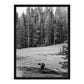 Don't Feed The Bears by Wesley and Emma Teague	 — Black Maple Floater