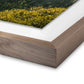 Above The Clouds by Wesley and Emma Teague - Rustic Walnut