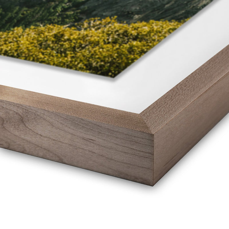 Above The Clouds by Wesley and Emma Teague - Rustic Walnut