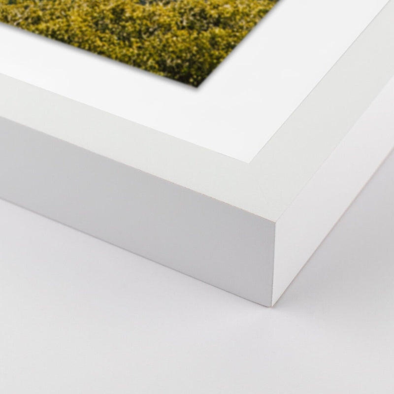 Above The Clouds by Wesley and Emma Teague - White Maple
