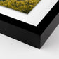 Above The Clouds by Wesley and Emma Teague - Black Maple