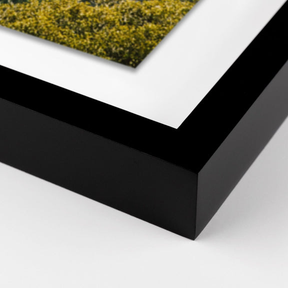 Above The Clouds by Wesley and Emma Teague - Black Maple