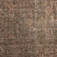 Attilio Runner - Attilio Bark